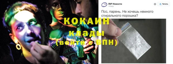 кокс Алексин